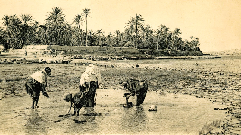 Collecting Water