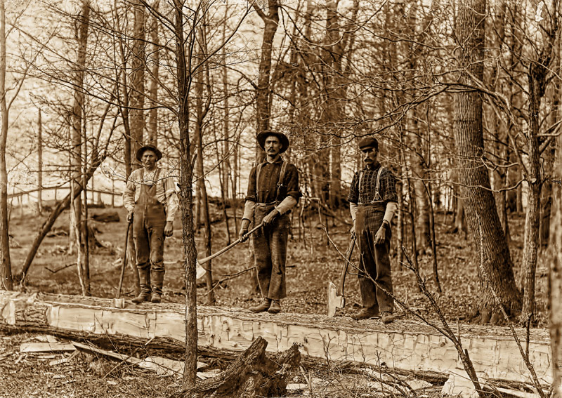 Squaring Logs