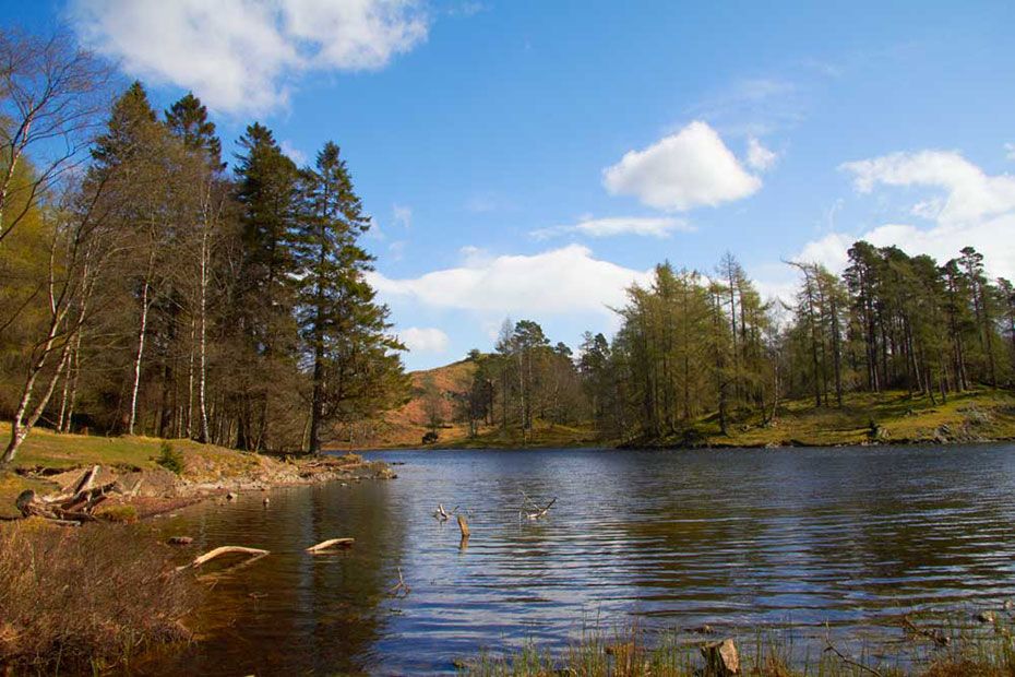 IMG_3831.jpgjpgTarn Hows - view towards Black Fell across Tarn -  A Santillo 2012