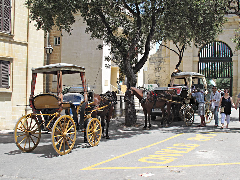 G10_0089.jpg Karozzini (horse drawn carriage) - Upper Barrakka Gardens, Valletta -  A Santillo 2009