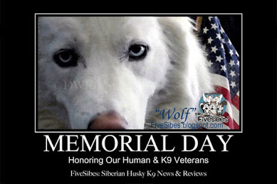 o10/00/41000/1/165547350.BmoVLBq6.MemorialDayforHumanandK9Vets.jpg
