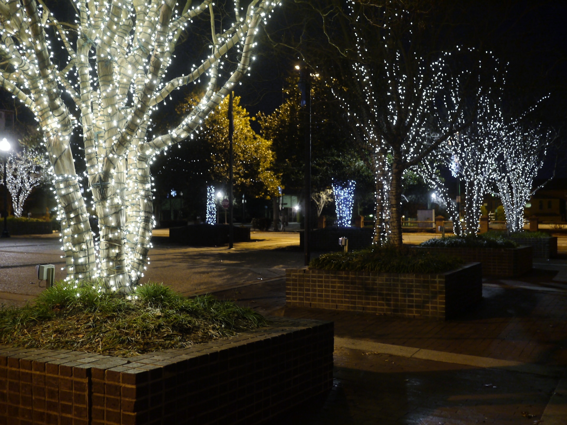 Hckory Square at Holidays