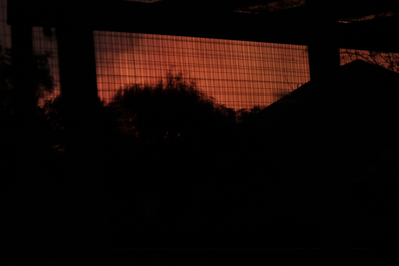w 5L4A6974 1st warning from patio.jpg