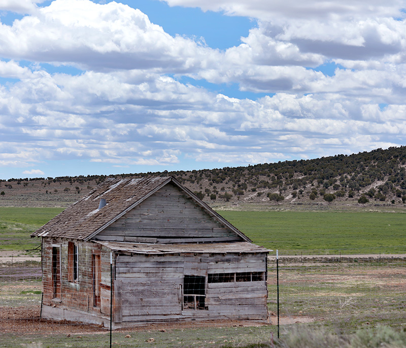 shack next to road