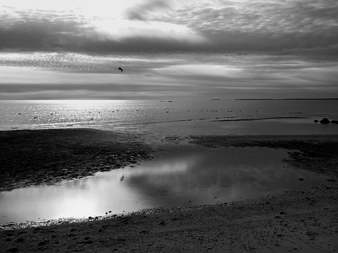 Harveys Beach - Color version below