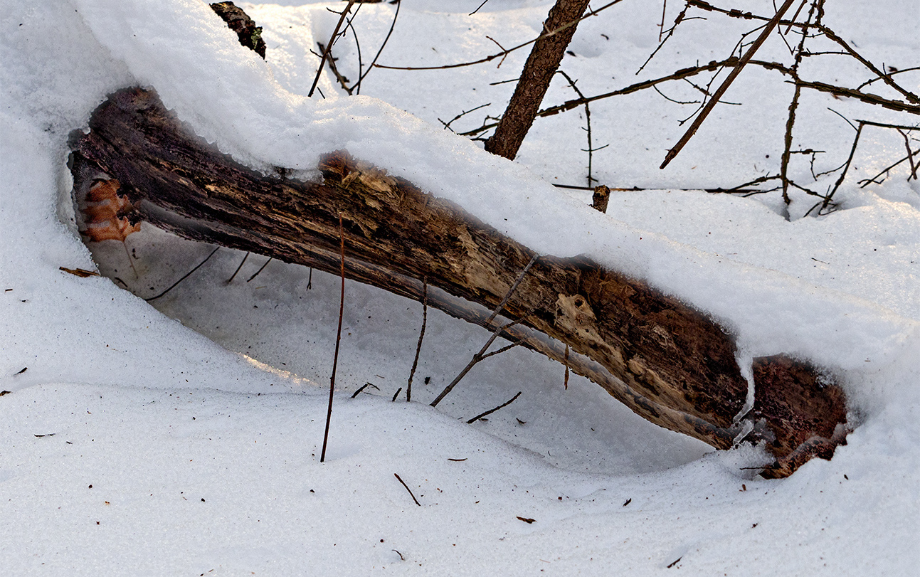 February in Connecticut