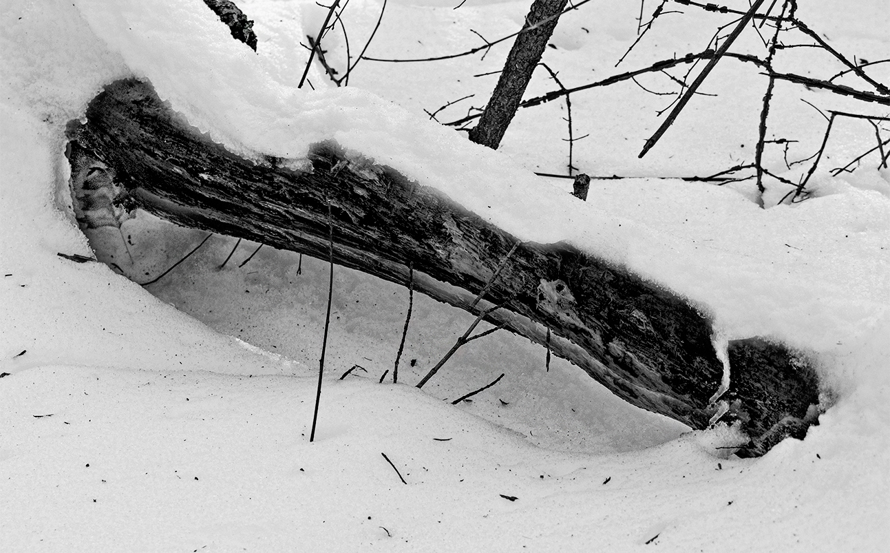 February in Connecticut