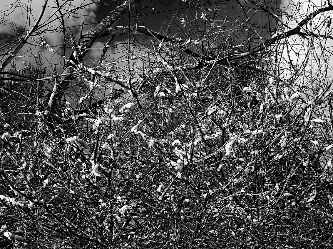 March in Connecticut