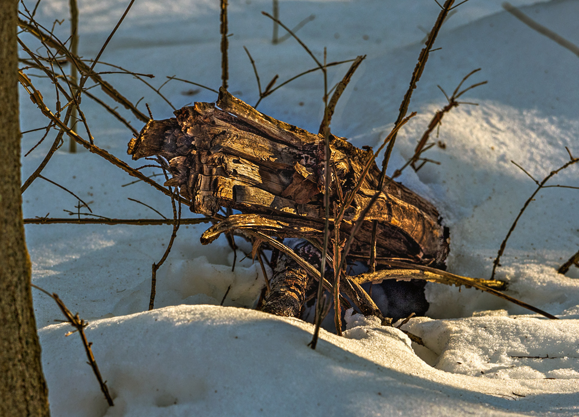 February in Connecticut