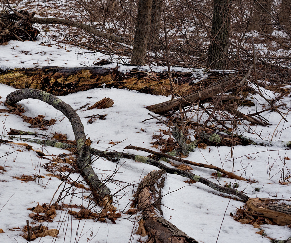 February in Connecticut
