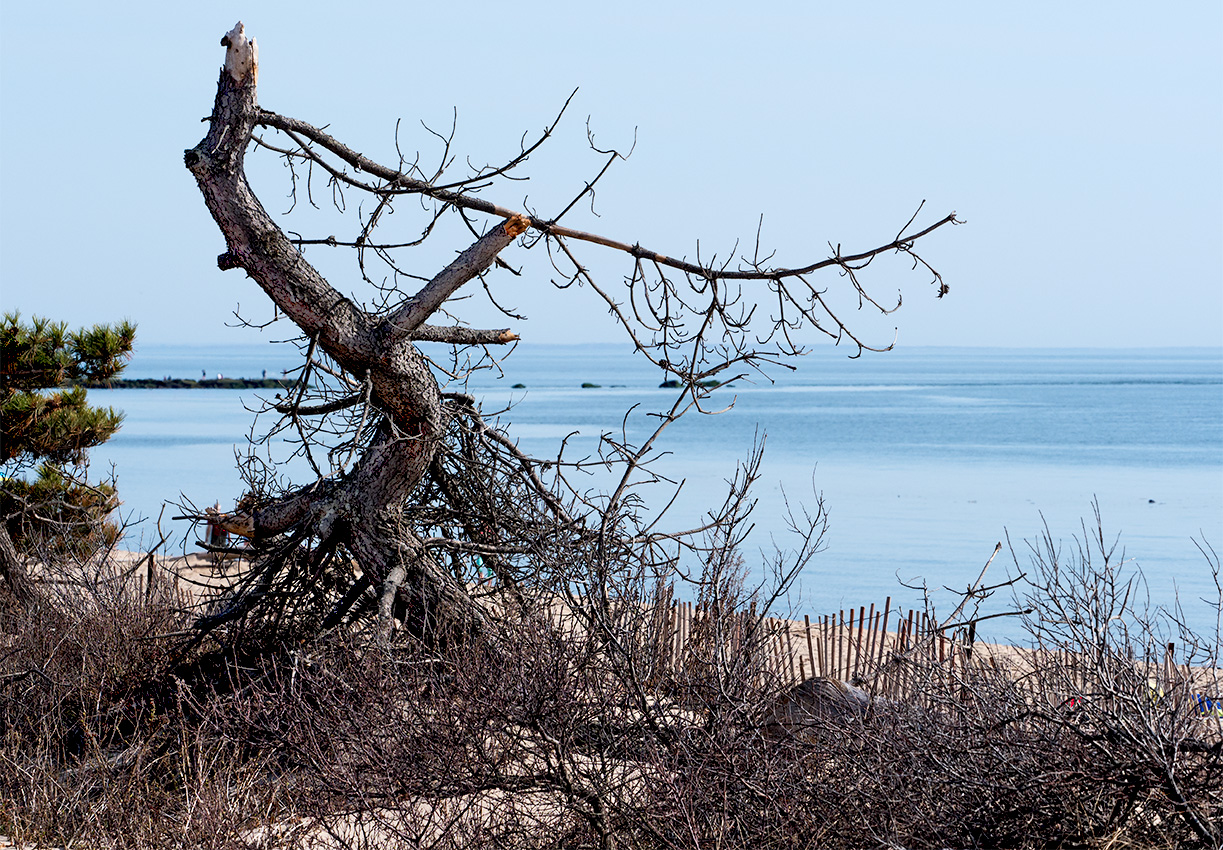 April in Connecticut - Hammonasset Beach State Park