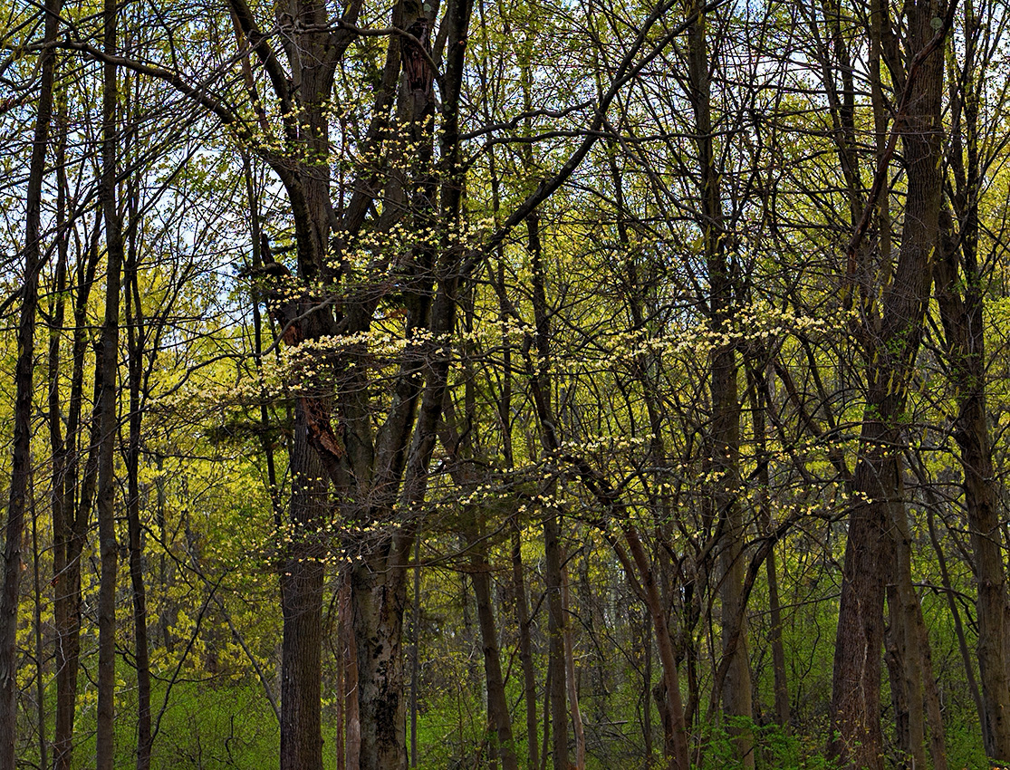 April in Connecticut 