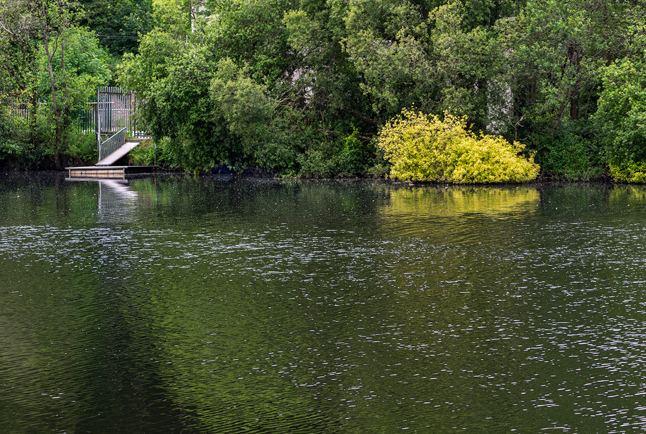 The River Lee