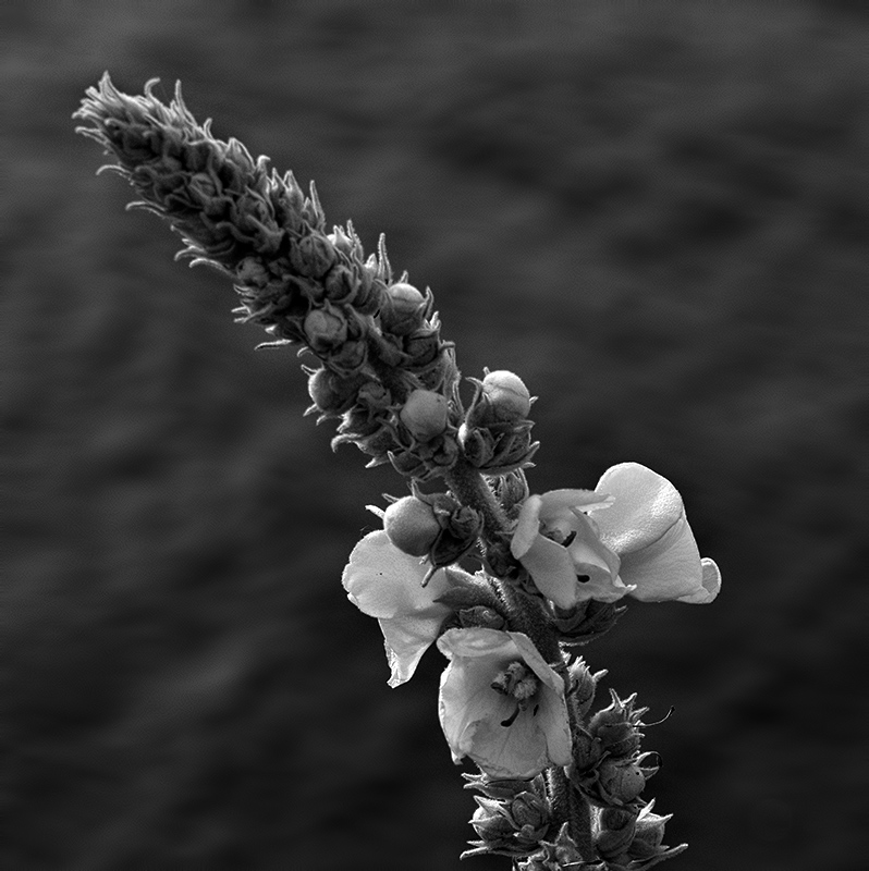 June in Connecticut