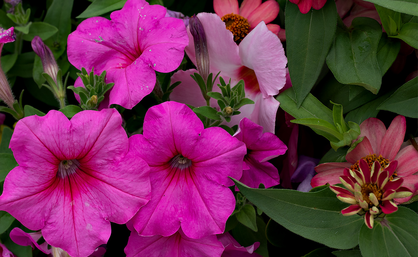 Outdoor display - Bishops Corner 
