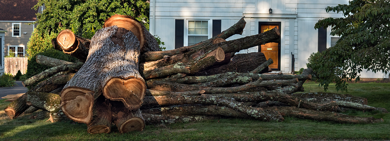 Firewood anyone? :)