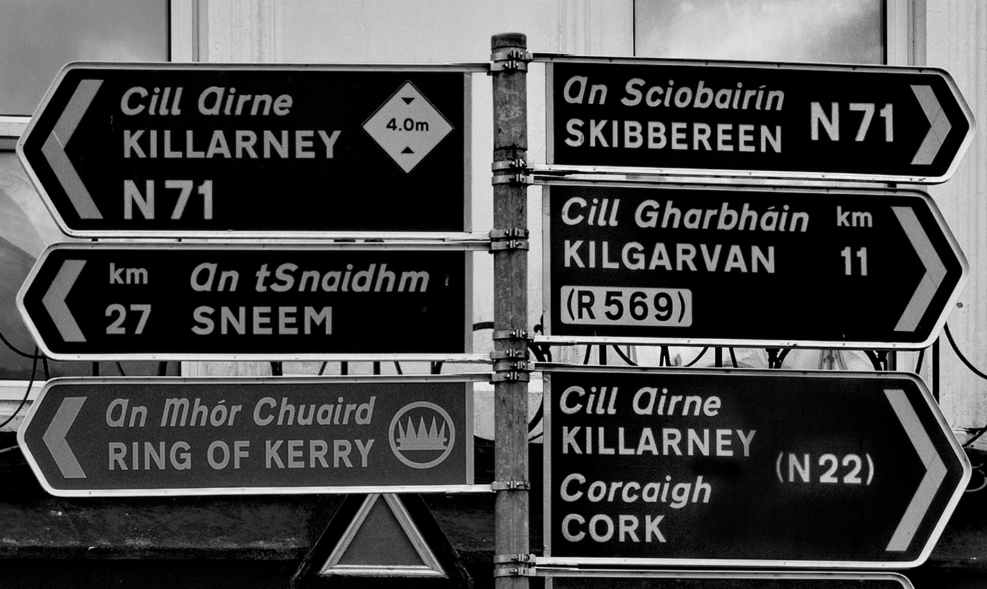 Decisions, Decisions, Decisions