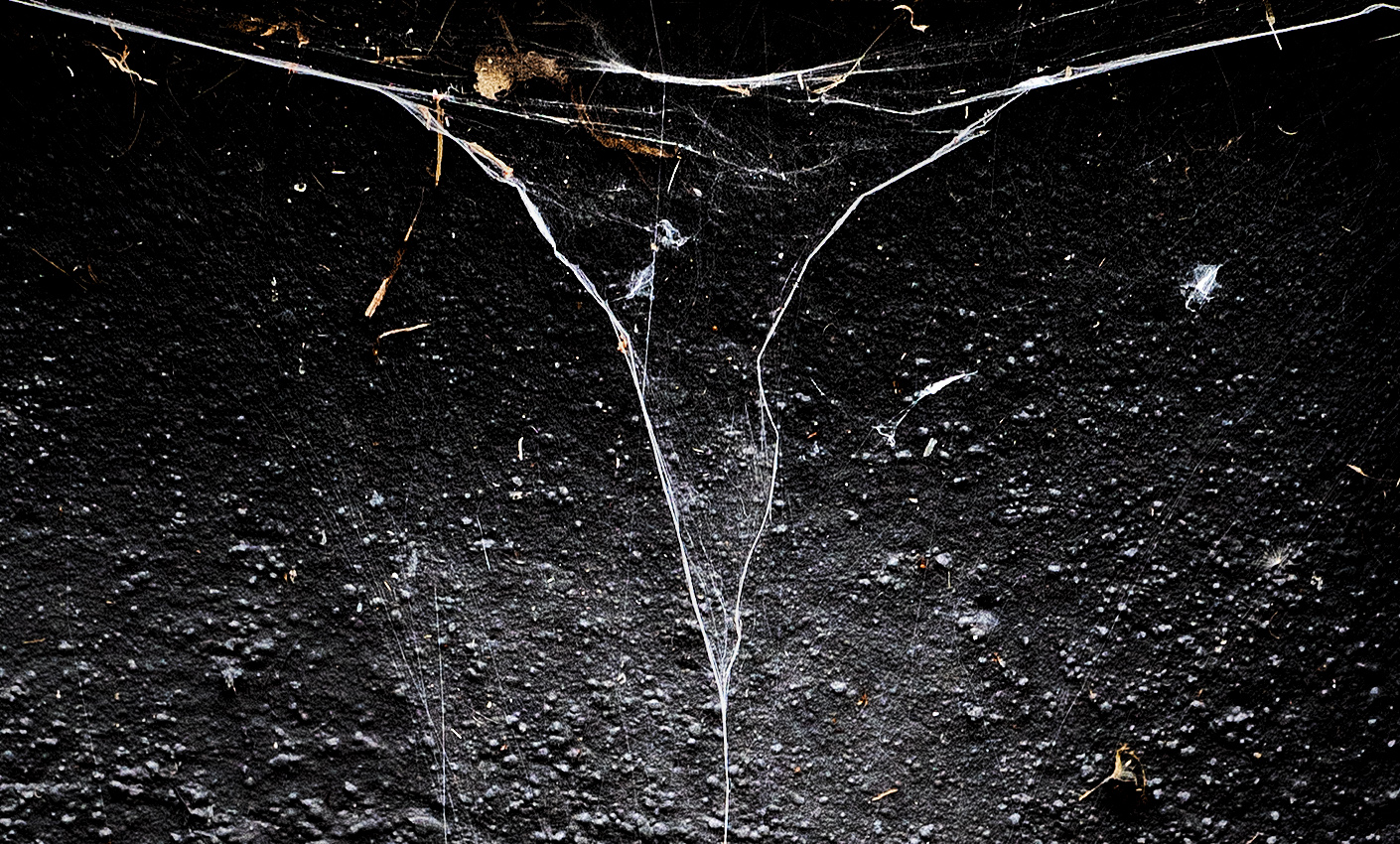 triangle - by nature