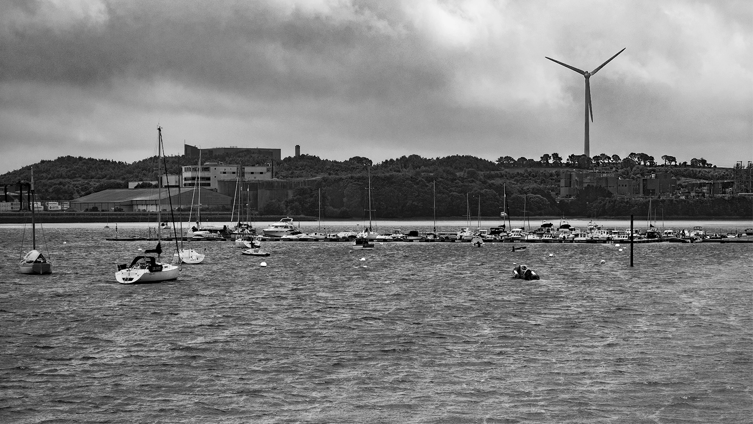 Along the River Lee
