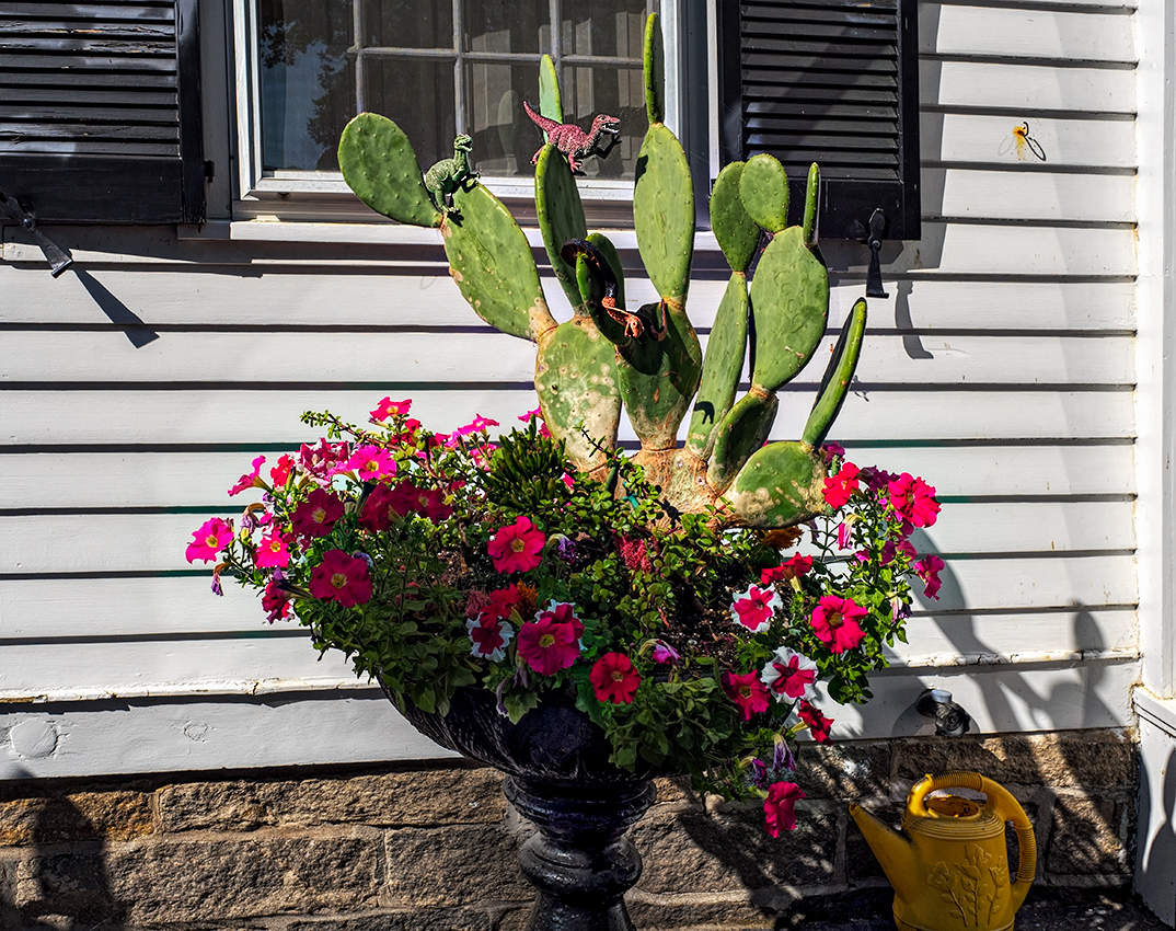 flowers and dinosaurs