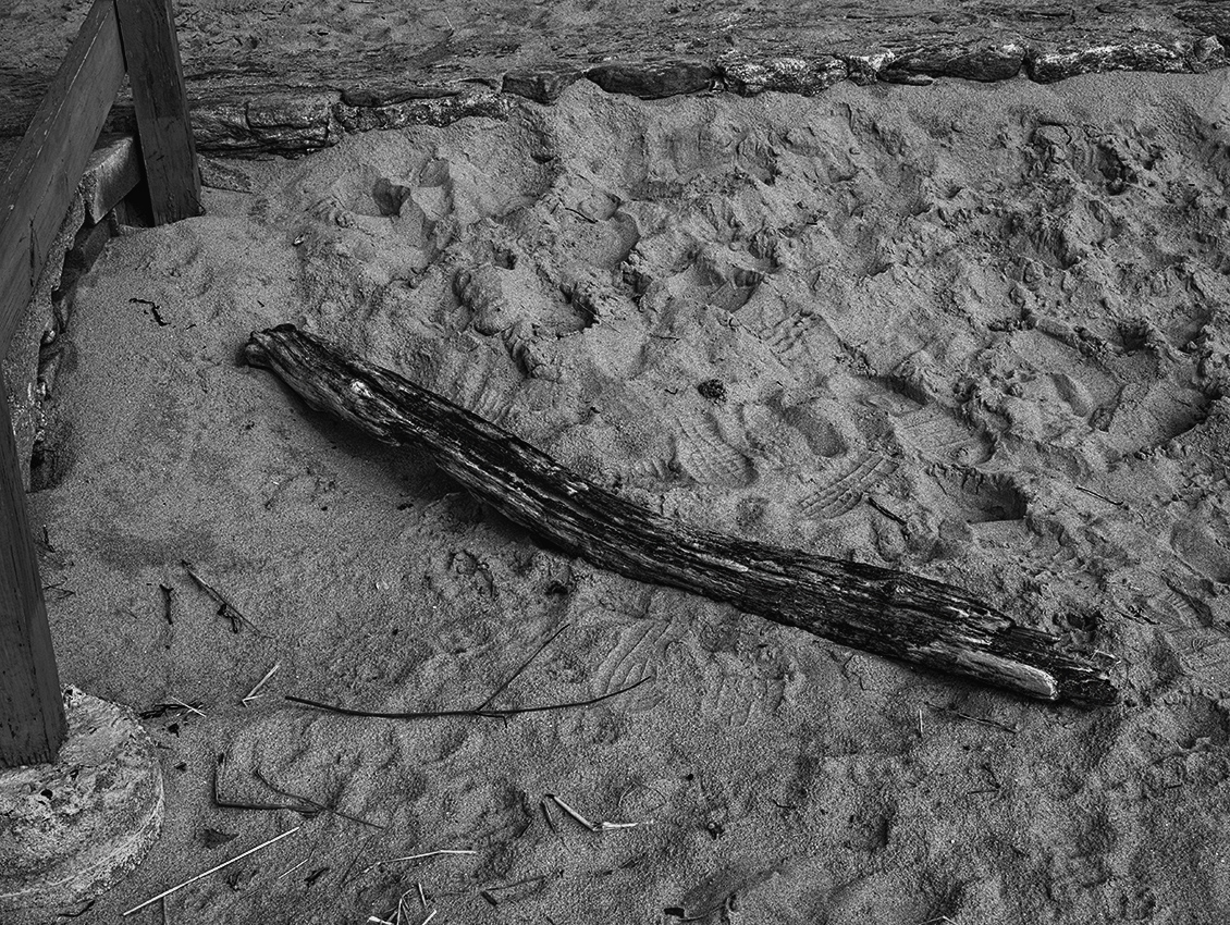 on the beach