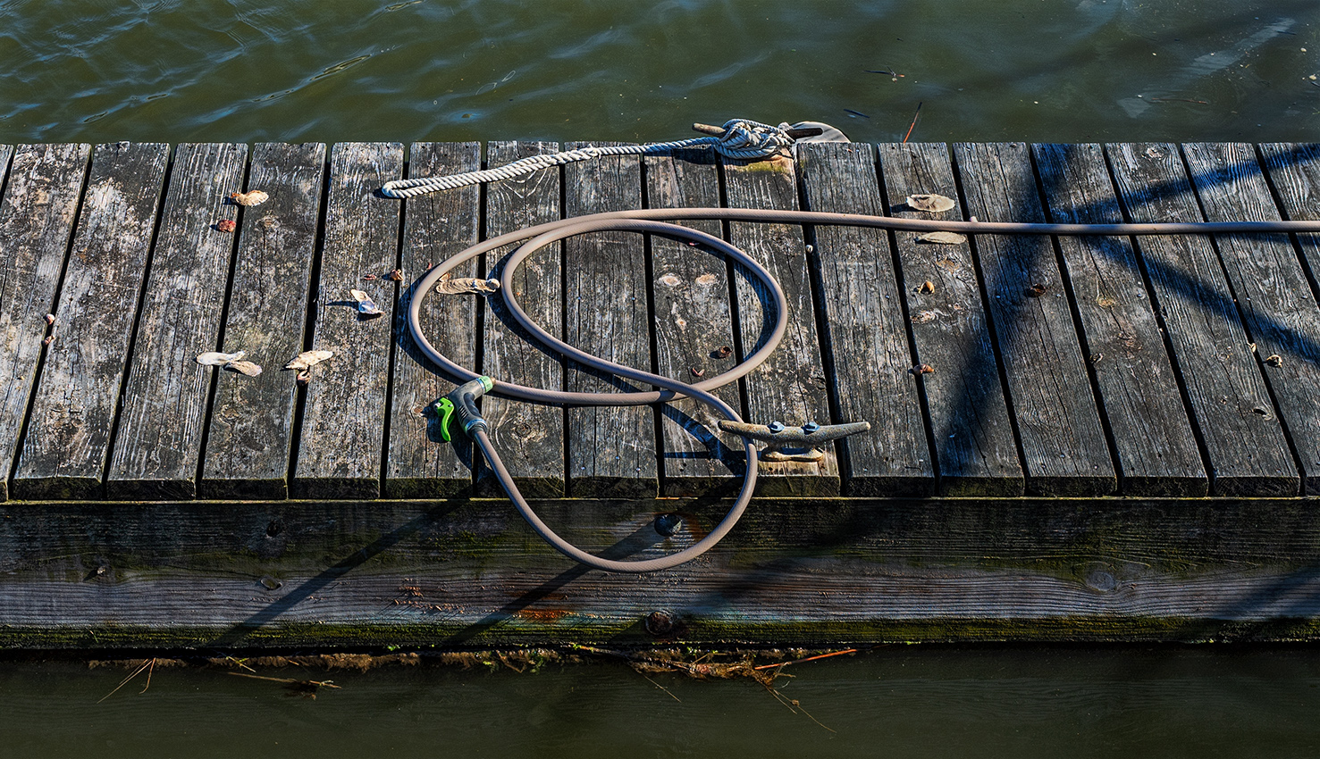 at a marina