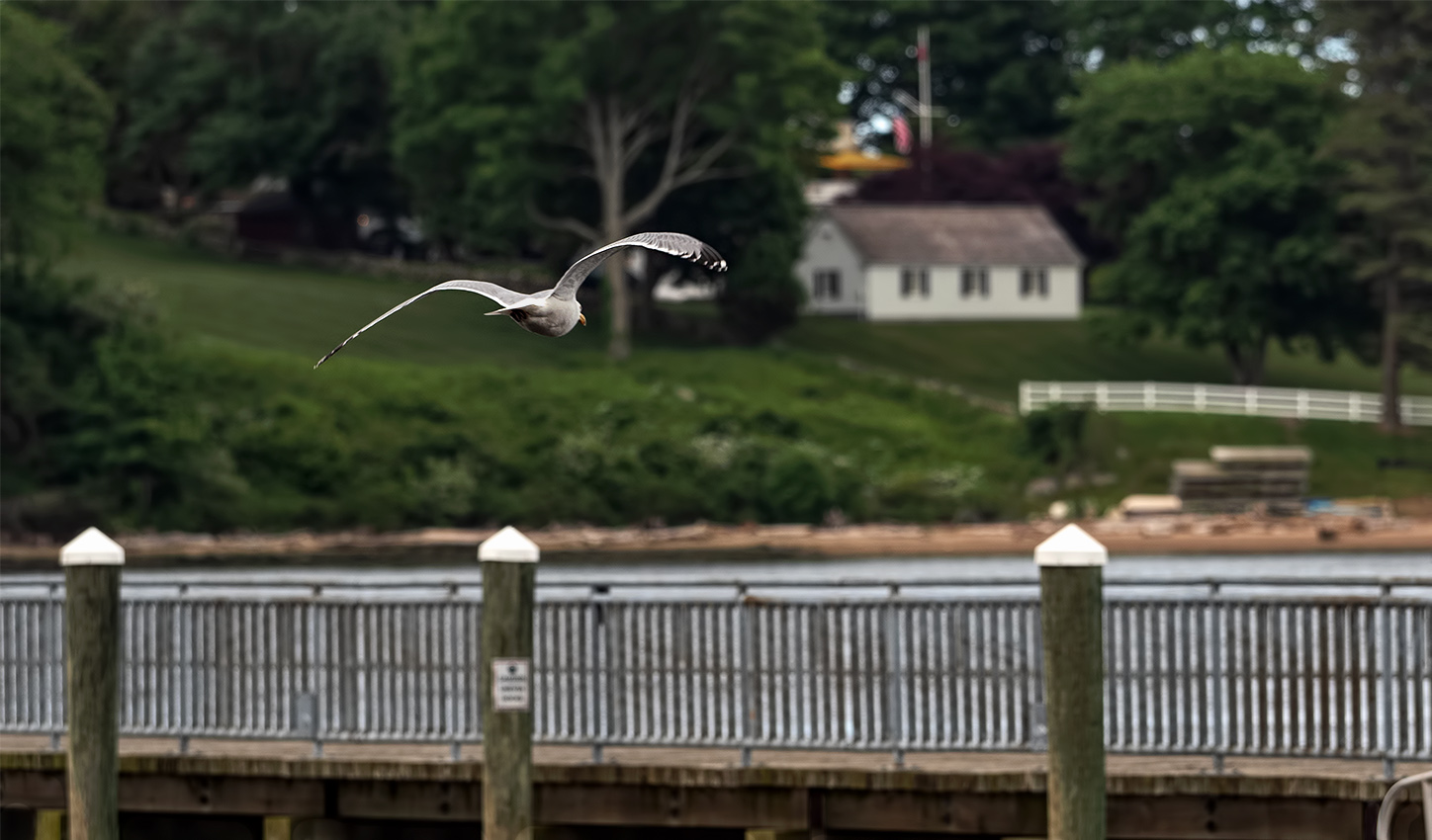 heading out to the Connecticut River