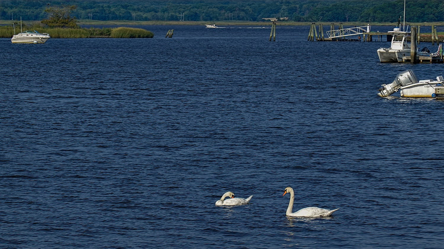 North Cove #2