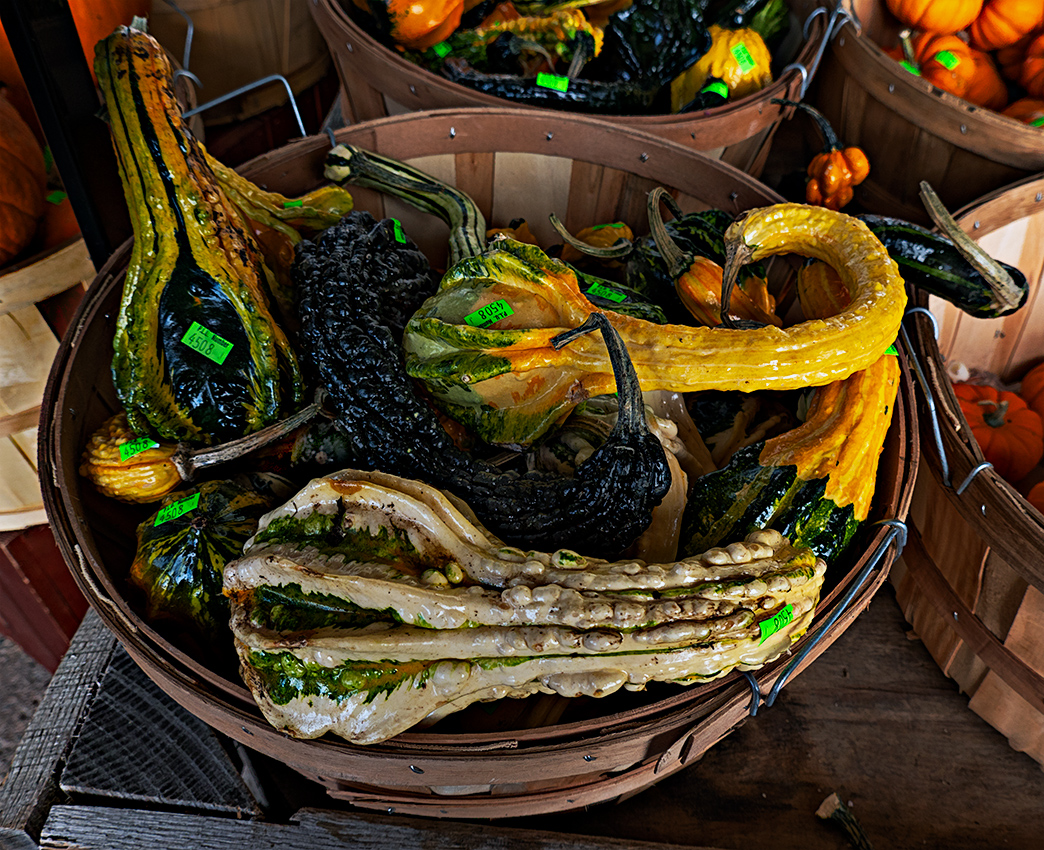 Halloween gourds