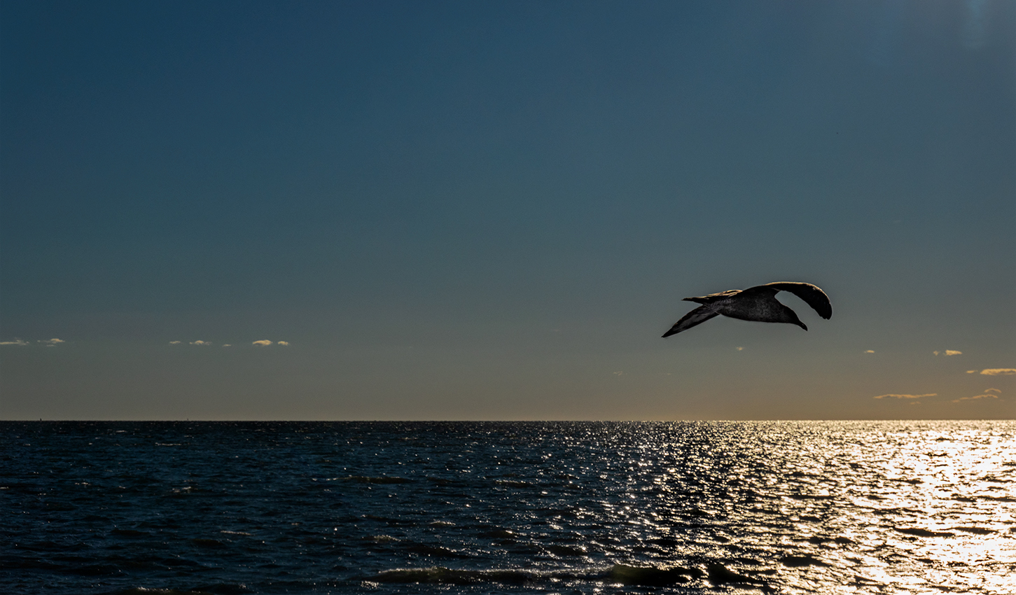 Harveys  beach