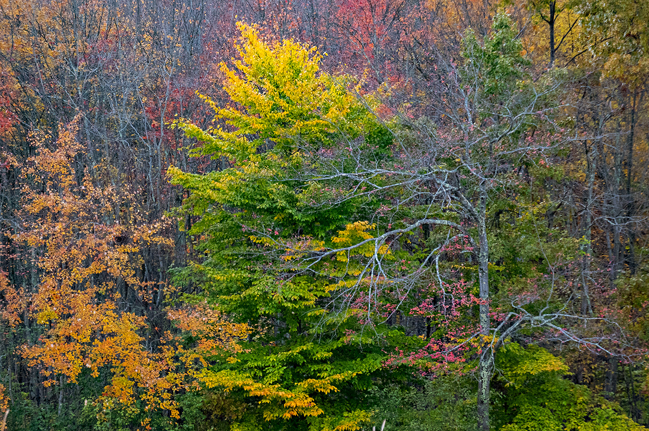 autumn in Connecticut