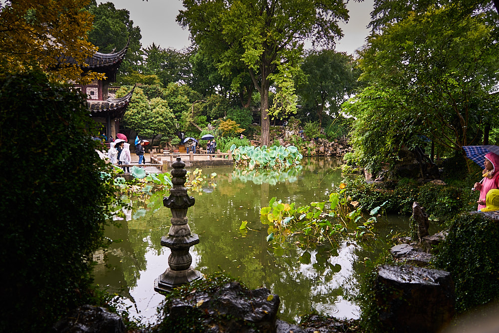 Lingering Garden