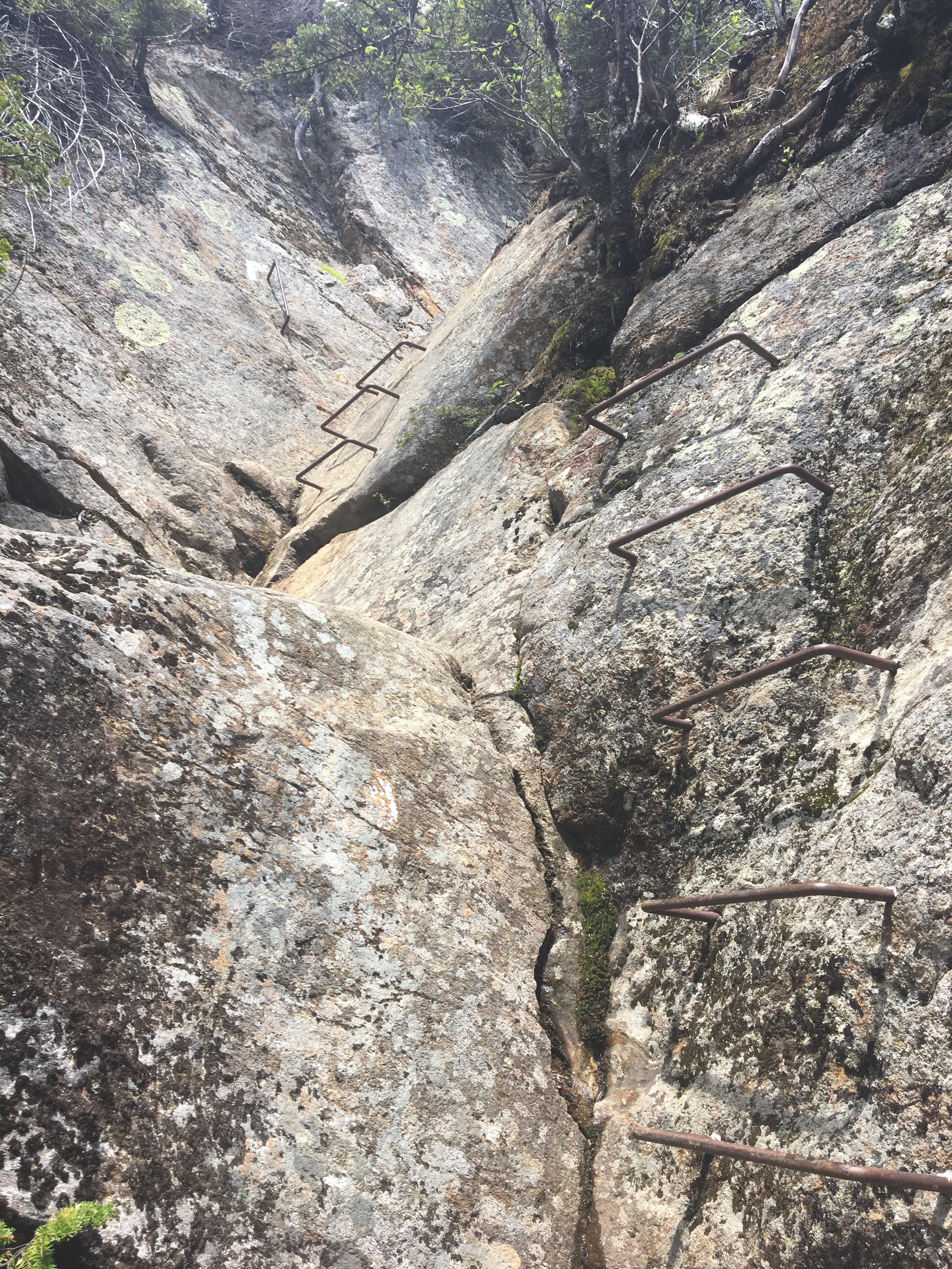 section of staples reminiscent of Acadia