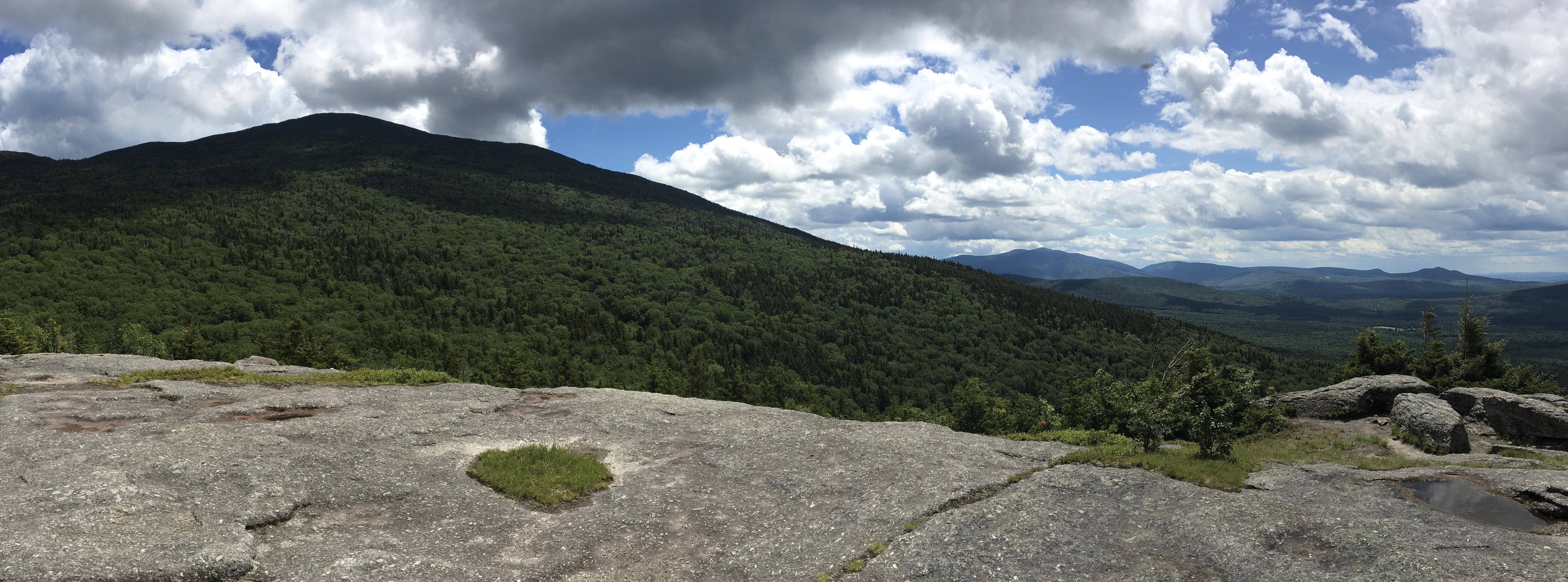 view from Bald Peak