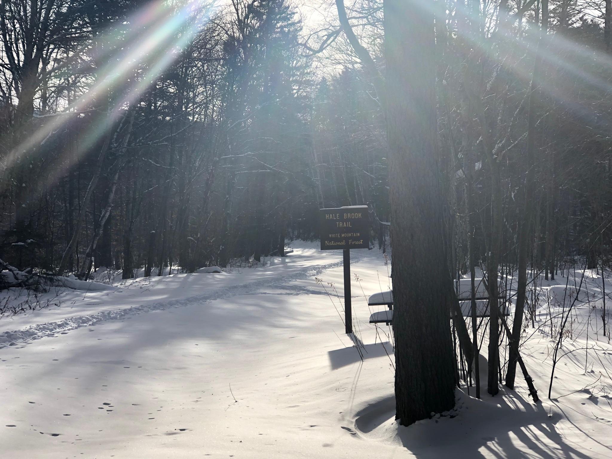 finally the trailhead