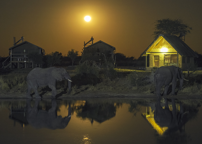 Elephant Sands Moonrise