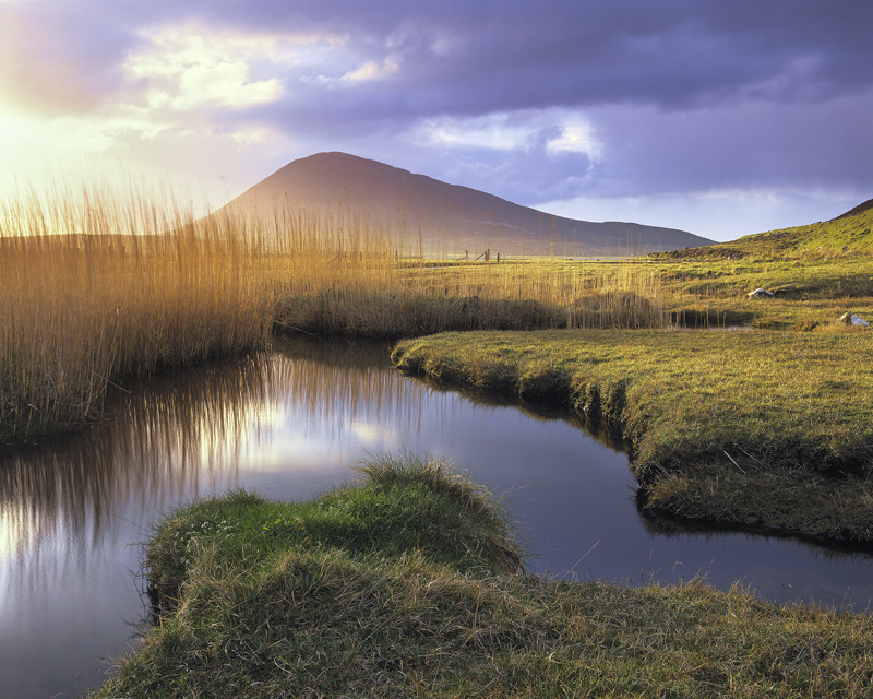 Scarasta Salt Marsh