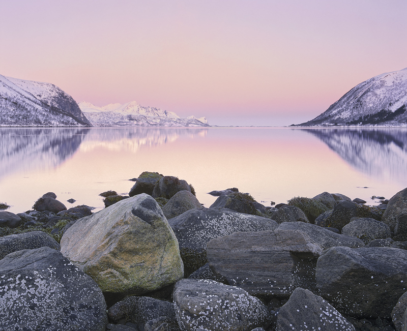 Pink Dawn Bergsbotn