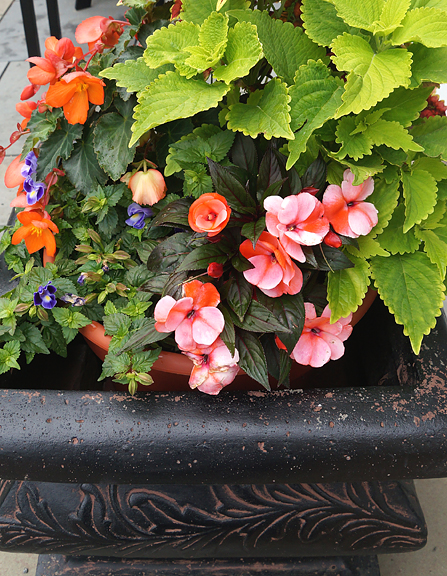 Planter with mixed flowers.