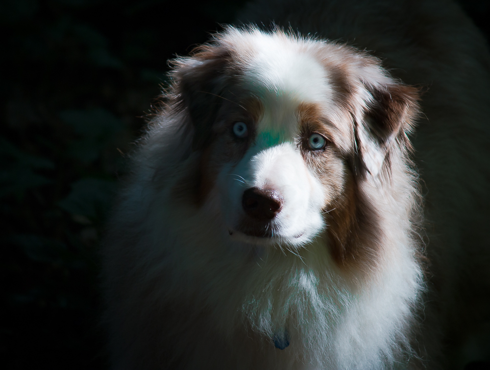 Della, The Birthday Girl