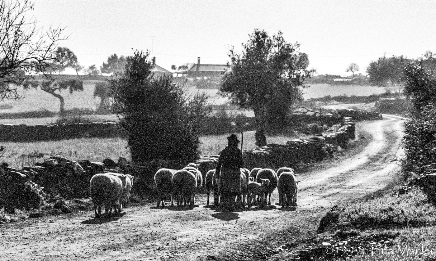 Headed Home, Contre-jour