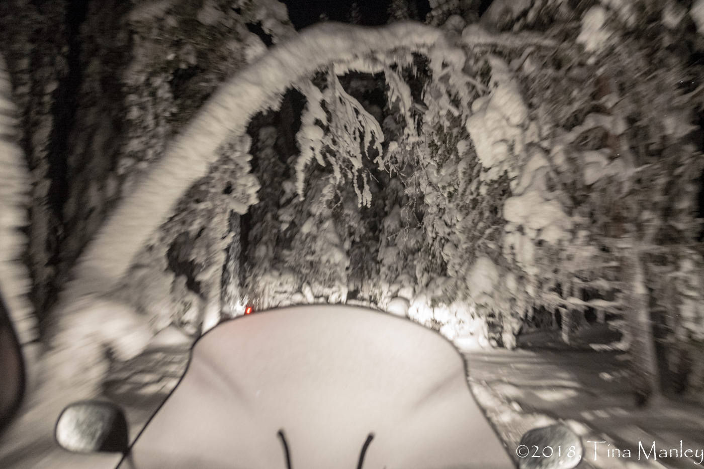 Snowmobile Ride