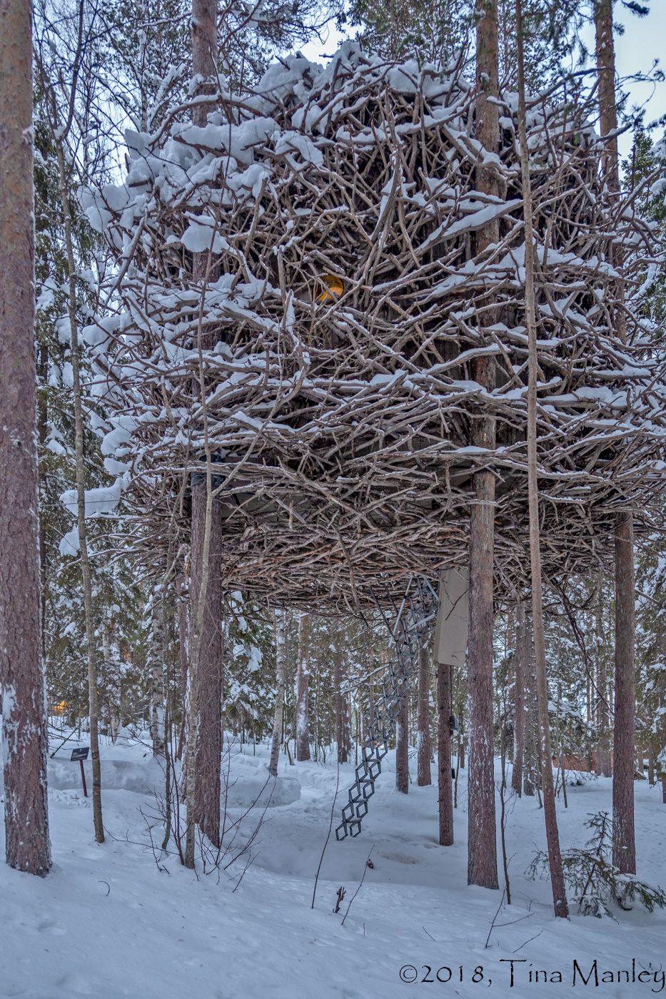 Birds Nest, Tree House Hotel