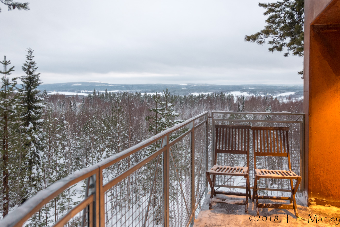 Tree House View