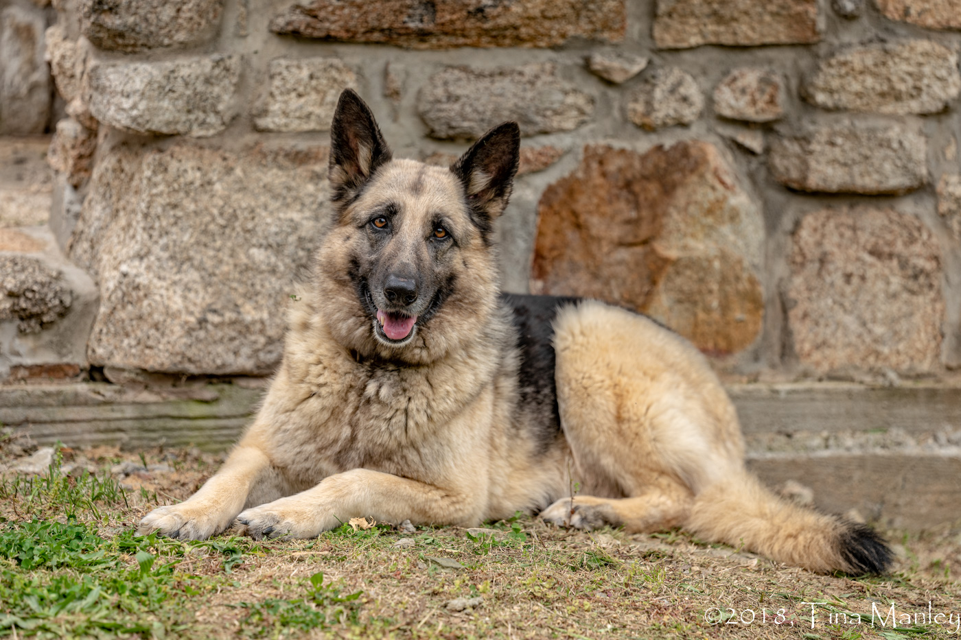 Jasmine, Posing!