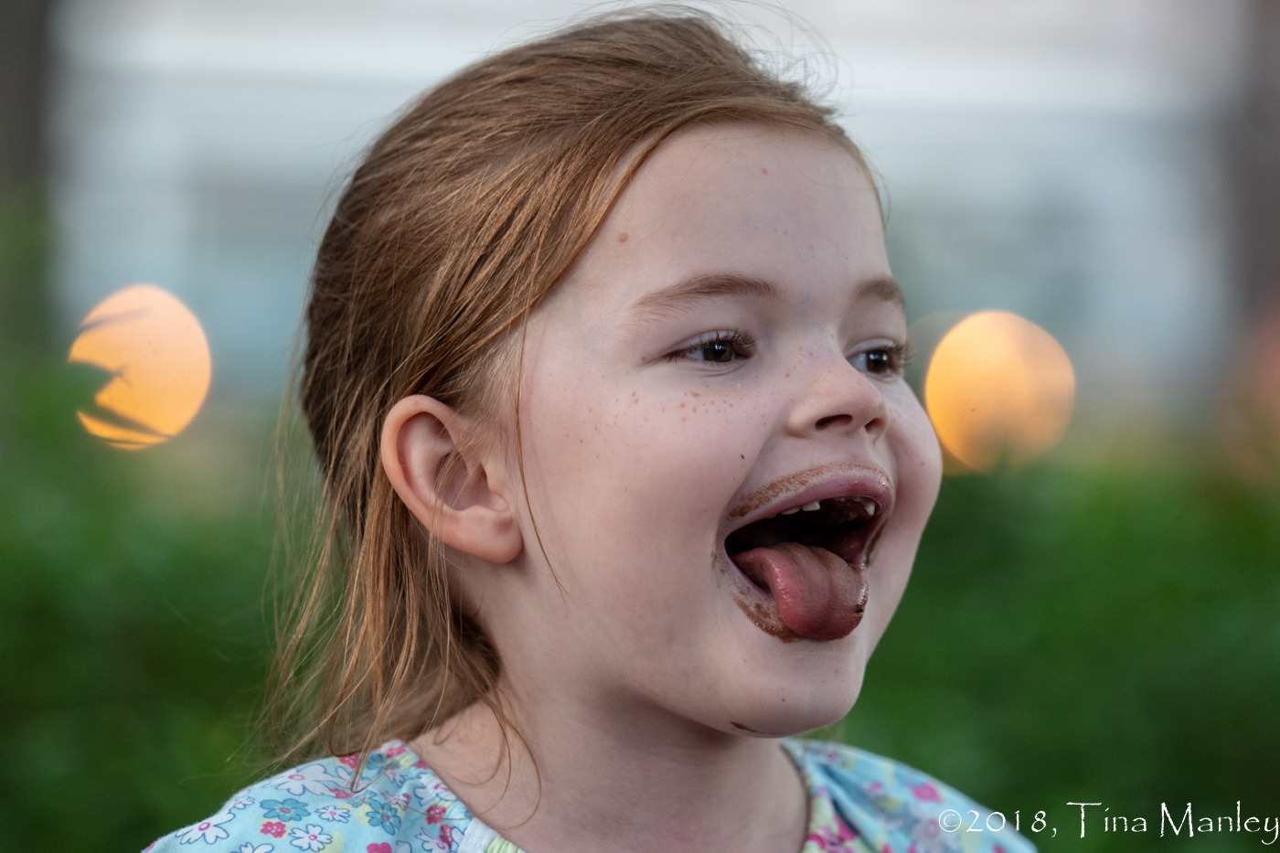Chocolate Ice Cream!