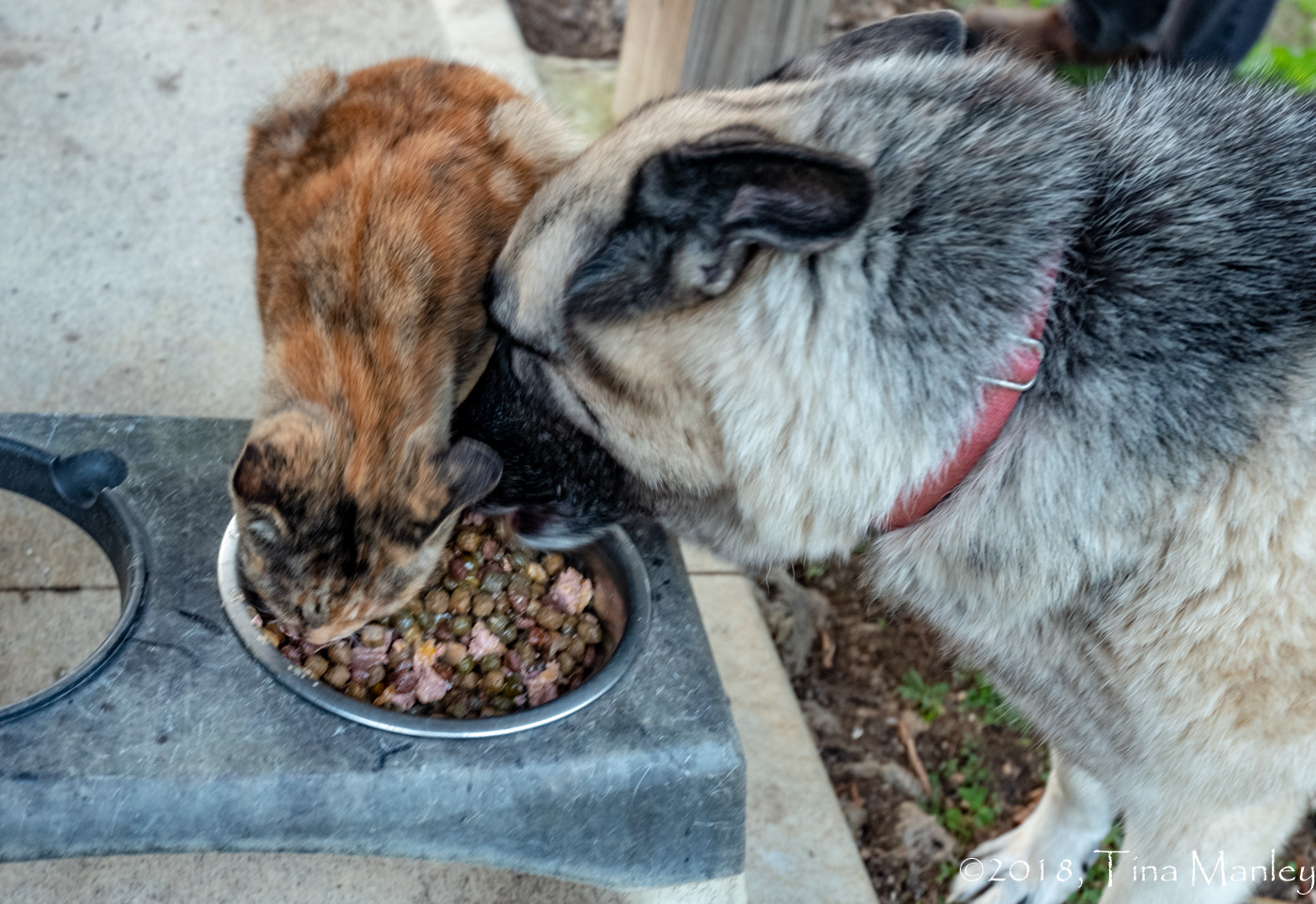 Sharing