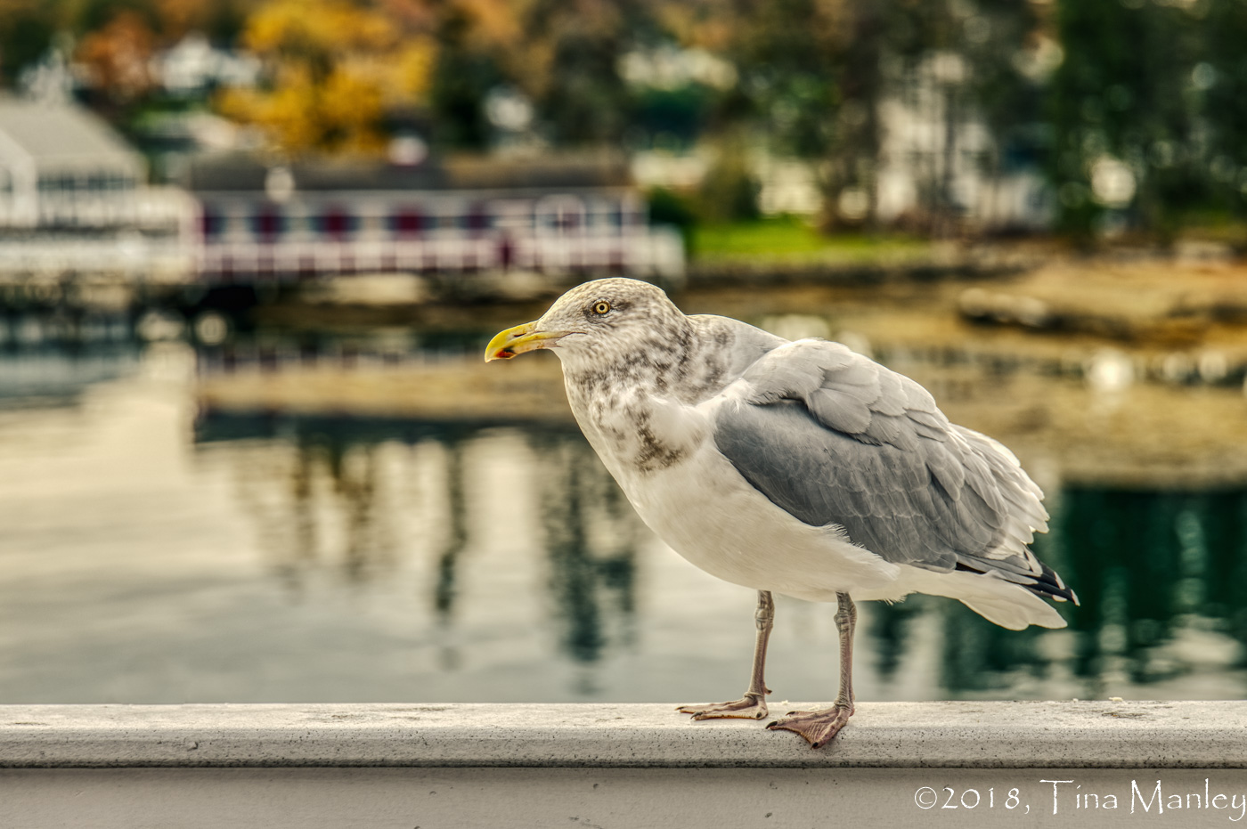 Posing for Photos