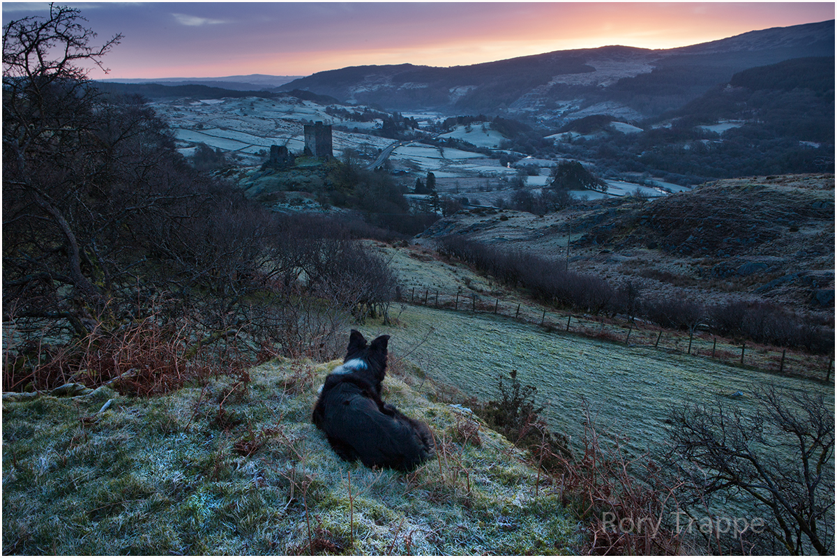 Gel at Dolwyddelan