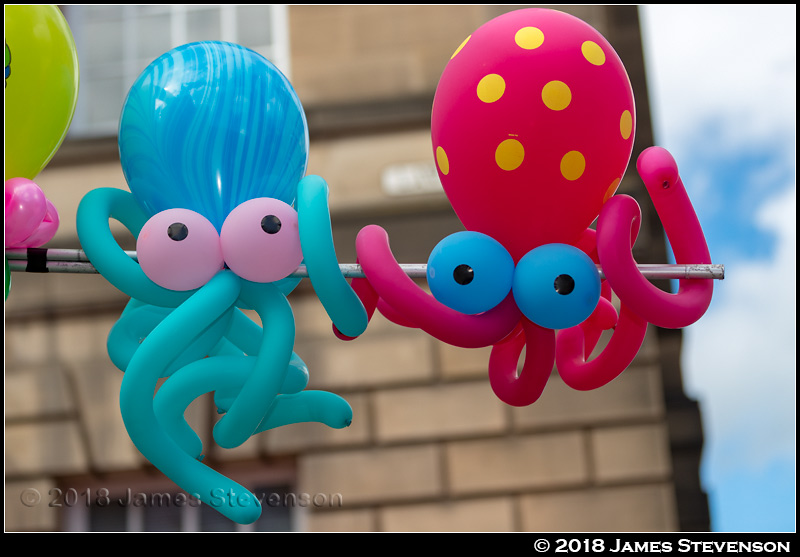 edfest_2018_053.jpg